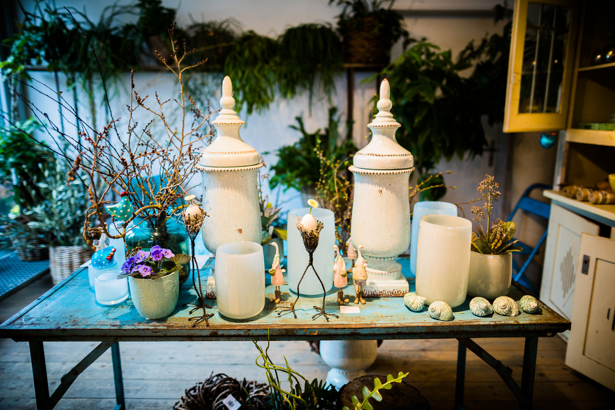 Export x3 5D4 9394 Businessauftrag 2017 Blattform Aarau